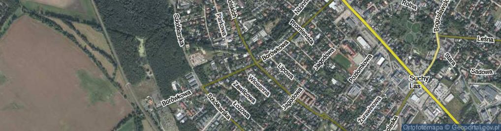 Zdjęcie satelitarne Borówkowa ul.